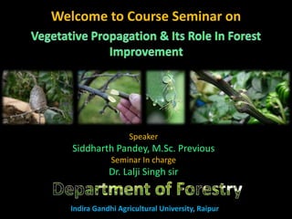 Welcome to Course Seminar on
Speaker
Siddharth Pandey, M.Sc. Previous
Seminar In charge
Dr. Lalji Singh sir
Indira Gandhi Agricultural University, Raipur
 