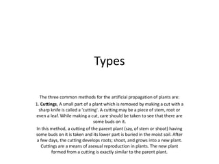 Types
The three common methods for the artificial propagation of plants are:
1. Cuttings, A small part of a plant which is removed by making a cut with a
sharp knife is called a 'cutting'. A cutting may be a piece of stem, root or
even a leaf. While making a cut, care should be taken to see that there are
some buds on it.
In this method, a cutting of the parent plant (say, of stem or shoot) having
some buds on it is taken and its lower part is buried in the moist soil. After
a few days, the cutting develops roots; shoot, and grows into a new plant.
Cuttings are a means of asexual reproduction in plants. The new plant
formed from a cutting is exactly similar to the parent plant.
 