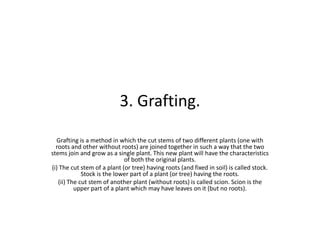 3. Grafting.
Grafting is a method in which the cut stems of two different plants (one with
roots and other without roots) are joined together in such a way that the two
stems join and grow as a single plant. This new plant will have the characteristics
of both the original plants.
(i) The cut stem of a plant (or tree) having roots (and fixed in soil) is called stock.
Stock is the lower part of a plant (or tree) having the roots.
(ii) The cut stem of another plant (without roots) is called scion. Scion is the
upper part of a plant which may have leaves on it (but no roots).
 