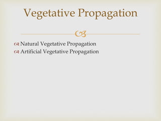 
 Natural Vegetative Propagation
 Artificial Vegetative Propagation
Vegetative Propagation
 