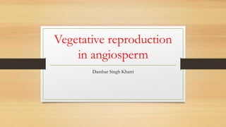 Vegetative reproduction
in angiosperm
Dambar Singh Khatri
 