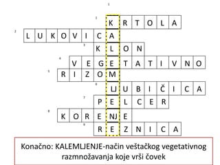 1. Podzemni organ kojim se razmnožava krompir.
1
1
2
3
4
5
6
7
8
9
K R T O L A
2. Podzemni organ kojim se razmnožava lala.
L U K O V I C A
3. Biljka koja nastaje vegetativnim razmnožavanjem i
identična je majci biljci.
K L O N
4. Razmnožavanje korenom, stablom i listom.
V E G E T A T I V N O
5. Podzmeni organ za razmnožavanje perunike.
R I Z O M
6. Biljka koja se razmnožava stolonama.
LJ U B I Č I C A
7. Deo zeljastog stabla sa pupoljcima koji služi za
vegetativno razmnožavanje.
P E L C E R
8. Podzemni organi koji služe za razmnožavanje rena,
ribizle, šljive (množina).
K O R E NJ E
9. Deo drvenastog stabla sa pupoljcima koji služi za
vegetativno razmnožavanje.
R E Z N I C A
Konačno: KALEMLJENJE-način veštačkog vegetativnog
razmnožavanja koje vrši čovek
 