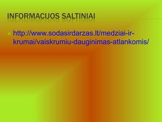 INFORMACIJOS SALTINIAI

   http://www.sodasirdarzas.lt/medziai-ir-
    krumai/vaiskrumiu-dauginimas-atlankomis/
 