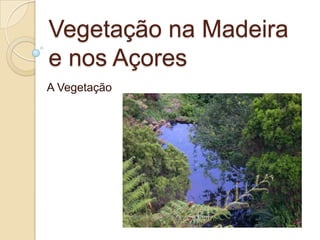 Vegetação na Madeira e nos Açores  A Vegetação 