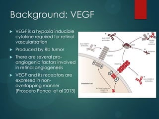 Background: VEGF


VEGF is a hypoxia inducible
cytokine required for retinal
vascularization



Produced by Rb tumor



There are several proangiogenic factors involved
in retinal angiogenesis



VEGF and its receptors are
expresed in nonoverlapping manner
(Prospero Ponce et al 2013)

 