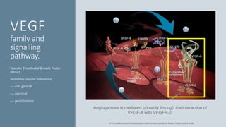 VEGF inhibitors In Cancer therapy | PPSX