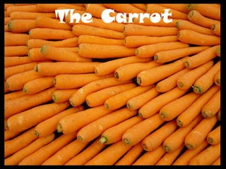 The Carrot
 