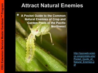 Attract Natural Enemieshttp://ippcweb.science.oregonstate.edu/Pocket_Guide_of_Natural_Enemies.pdf