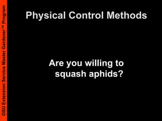Physical Control MethodsAre you willing to squash aphids? 