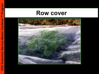 Row cover(Cornell University)