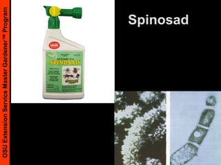Spinosad