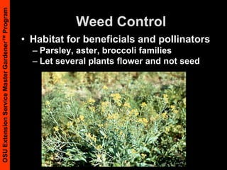 Understand the instructions