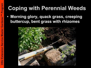 Don’t bring in new weedsAvoid bringing new weeds to the garden in horse manure, compost, or strawHorse Manure must be hot composted. Request records.