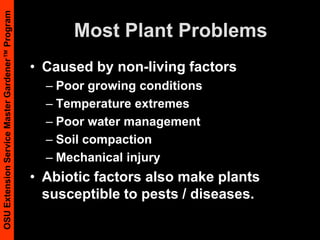 Transplants Get a Head Start