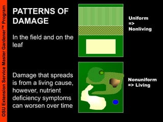 Non-Living (Abiotic) CausesWeather: heat, cold, wind, waterMechanical damageNutrient deficiencies or toxicitiesToxins: pesticides, soil or air pollutantsFrom http://www.pioneer.co.nz/