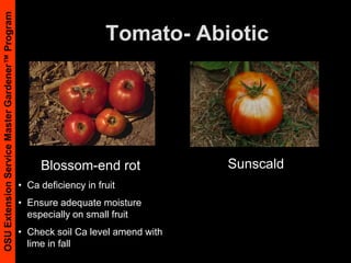 Extreme Deformities (B)Back to Basics: http://www.back-to-basics.net/nds/index.htm#