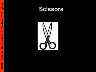 PATTERNS OF DAMAGEIn the field and on the leafDamage that spreads is from a living cause, however, nutrient deficiency symptoms can worsen over timeUniform => NonlivingNonuniform => Living