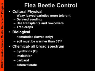 Slugs- Chemical Control(O) Iron phosphate (slower acting)Metaldehyde (danger)Toxic to pets