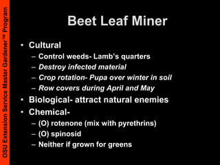 Diatomaceous EarthFor Slugs ‘n snailsRepeat applicationsEffective?