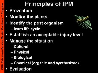 Case Study- AphidsCabbage aphidsMonitor plantsIdentify pest and life cycleMultiple generations/ year,ParthenogenicHoneydew and sooty mold