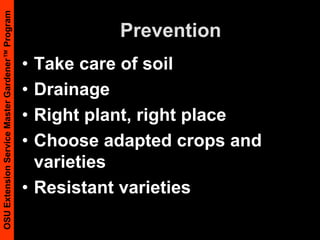 PreventionTake care of soilDrainageRight plant, right placeChoose adapted crops and varieties Resistant varieties