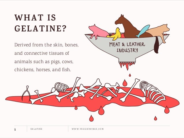 Gelatine animal skin and bones hiding in your food veggiewings.com