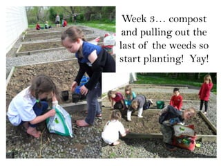 Week 3… compost and pulling out the last of the weeds so start planting!  Yay! 