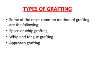 TYPES OF GRAFTING
• Some of the most common method of grafting
are the following:-
• Splice or whip grafting
• Whip and tongue grafting
• Approach grafting
 