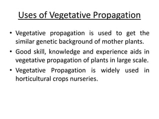 Uses of Vegetative Propagation
• Vegetative propagation is used to get the
similar genetic background of mother plants.
• Good skill, knowledge and experience aids in
vegetative propagation of plants in large scale.
• Vegetative Propagation is widely used in
horticultural crops nurseries.
 