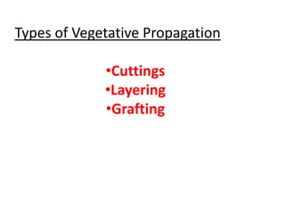 Types of Vegetative Propagation
•Cuttings
•Layering
•Grafting
 