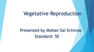 Vegetative Reproduction
Presented by Mohan Sai Srinivas
Standard: 5E
 