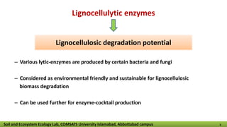 Lignocellulytic enzymes
– Various lytic-enzymes are produced by certain bacteria and fungi
– Considered as environmental friendly and sustainable for lignocellulosic
biomass degradation
– Can be used further for enzyme-cocktail production
Lignocellulosic degradation potential
Soil and Ecosystem Ecology Lab, COMSATS University Islamabad, Abbottabad campus 5
 