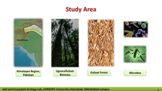 Lignocellulosic
Biomass
Himalayan Region,
Pakistan
Galiyat Forest
Study Area
Microbes
Soil and Ecosystem Ecology Lab, COMSATS University Islamabad, Abbottabad campus 6
 