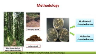 Methodology
Decaying wood
Adjacent soil
Pine forest, Galyat
regon Lower Himalaya
Biochemical
characterization
Molecular
characterization
Soil and Ecosystem Ecology Lab, COMSATS University Islamabad, Abbottabad campus 7
 