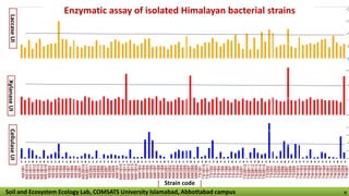Enzymatic assay of isolated Himalayan bacterial strains
Strain code
XylanaseUILaccaseUICellulaseUI
Soil and Ecosystem Ecology Lab, COMSATS University Islamabad, Abbottabad campus 9
 