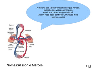Nomes:Álisson e Marcos. FIM A maioria das veias transporta sangue venoso,  exceção das veias pulmonares, que transportam sangue arterial.  Assim você pode conhecer um pouco mais sobre as veias 