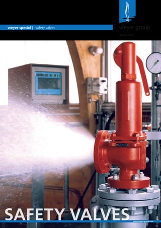 weyer special | safety valves   weyer group
                                allround. smart.




SAFETY VALVES                                 www.weyer-group.com
 