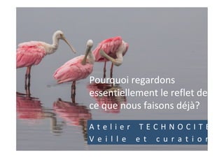 Pourquoi	regardons	
essentiellement	le	reflet	de	
ce	que	nous	faisons	déjà?	
A t e l i e r 	 T E C H N O C I T E	
V e i l l e 	 e t 	 c u r a t i o n	
 