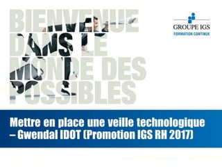 Mettre en place une veille technologique
– Gwendal IDOT (Promotion IGS RH 2017)
 