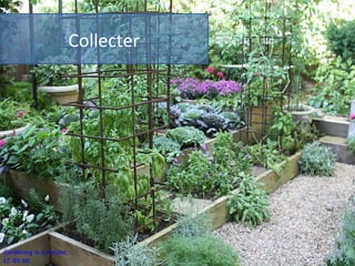 Collecter
Gardening in a minute.
CC-BY-NC
 