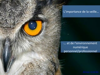 L’importance de la veille…
… et de l’environnement
numérique
personnel/professionnel
Bill Hails. CC-BY-ND
 