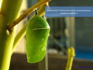 Renouveler l’information et la communication
professionnelles ?
Wonderferret. CC-BY
 