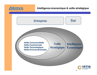 Veille StratéGique Et Intelligence éConomique