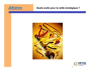 Veille StratéGique Et Intelligence éConomique