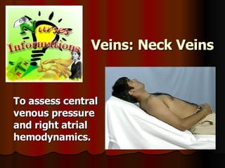Veins: Neck Veins   To assess central venous pressure and right atrial hemodynamics.   