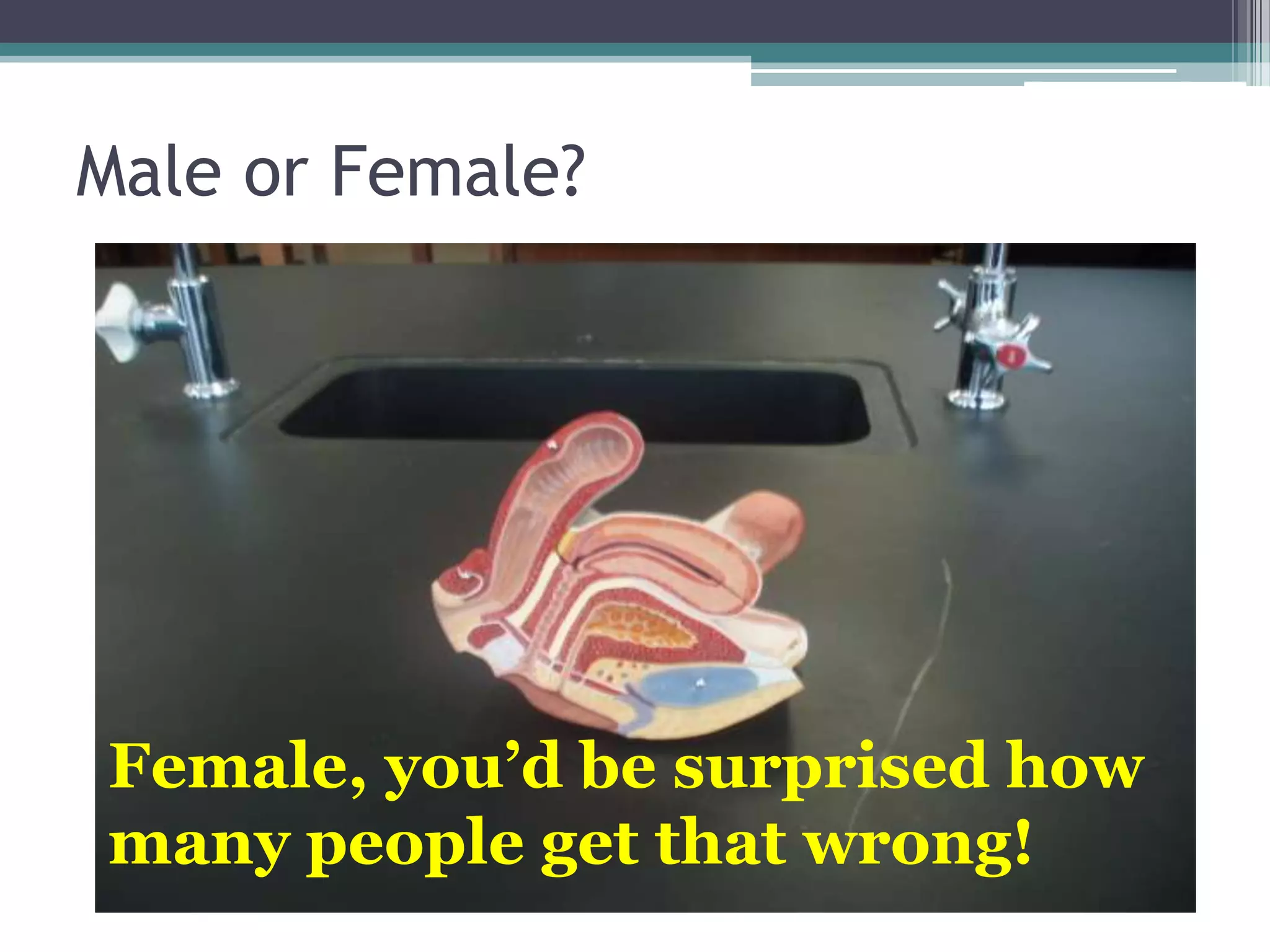 Male or Female?Female, you’d be surprised how many people get that wrong!