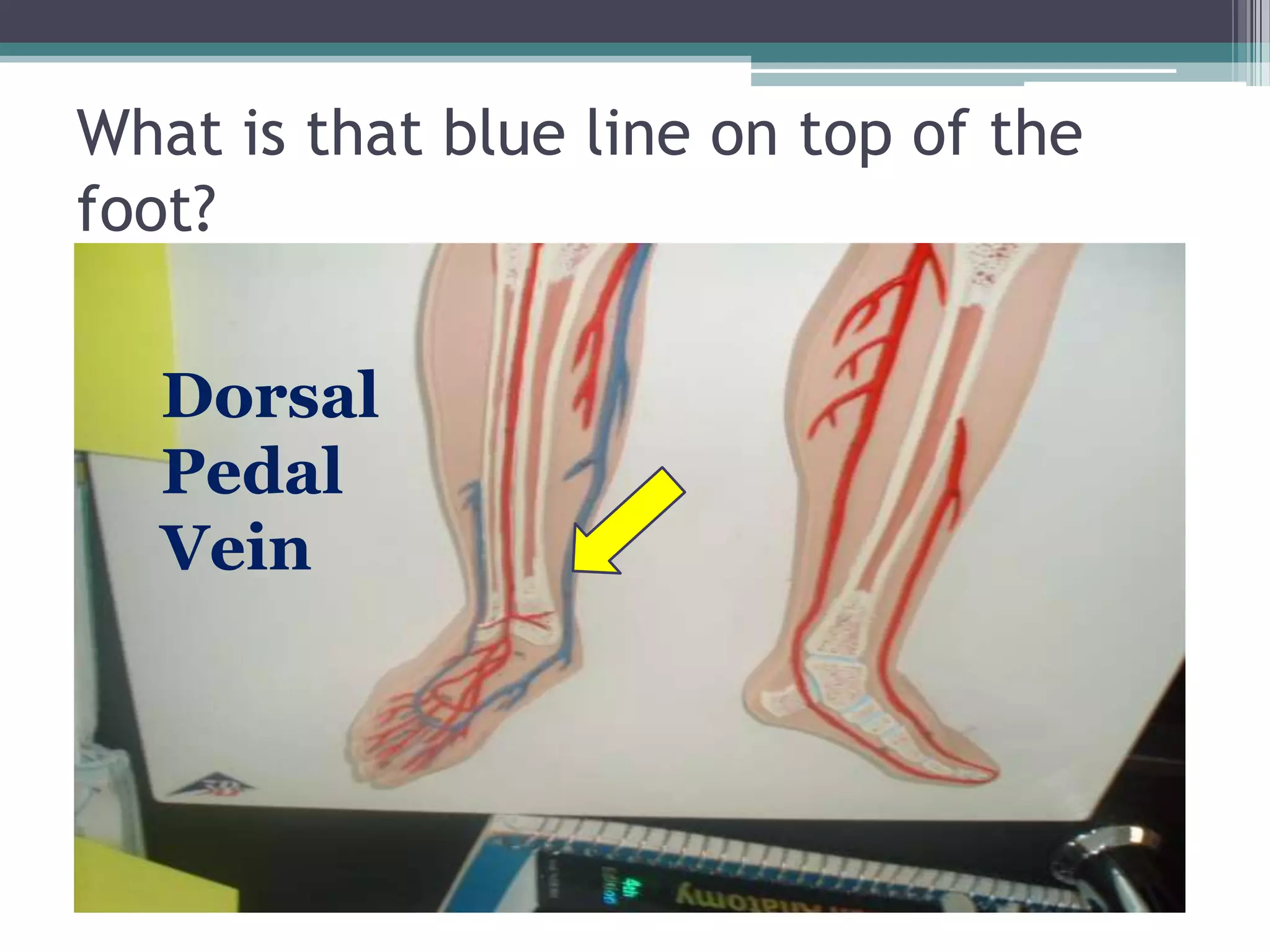 What is that blue line on top of the foot?Dorsal Pedal Vein