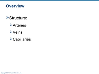 Overview
Structure:
Arteries
Veins
Capillaries

Copyright © 2011 Pearson Education, Inc.

 