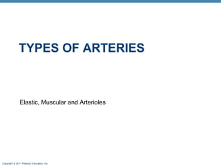 TYPES OF ARTERIES

Elastic, Muscular and Arterioles

Copyright © 2011 Pearson Education, Inc.

 