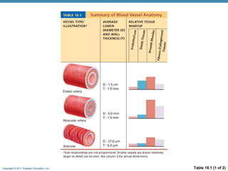 Copyright © 2011 Pearson Education, Inc.

Table 18.1 (1 of 2)

 